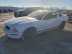 Lot #3304641947 2005 FORD MUSTANG