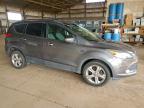 Lot #3301619631 2013 FORD ESCAPE SE