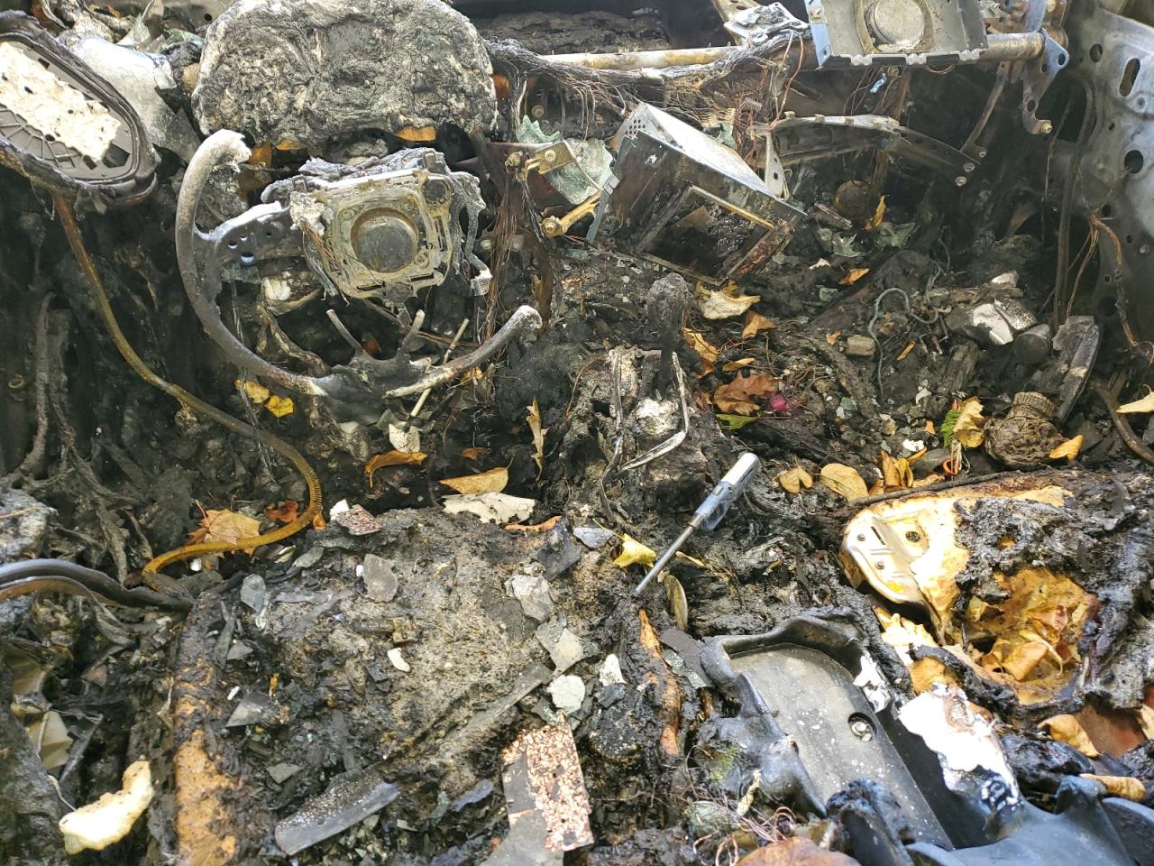 Lot #3302908131 2019 TOYOTA CAMRY L