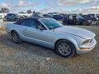 Lot #3303707538 2005 FORD MUSTANG