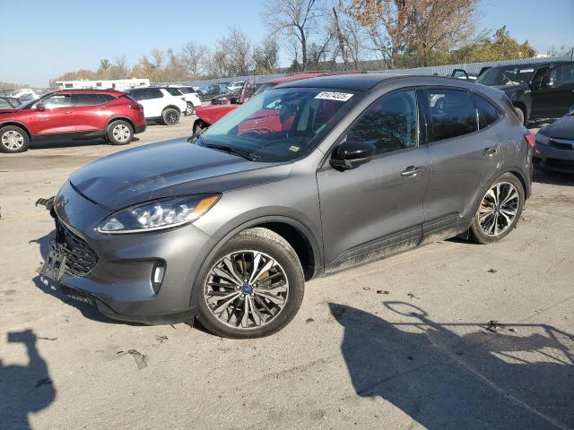 Global Auto Auctions: 2022 FORD ESCAPE SEL