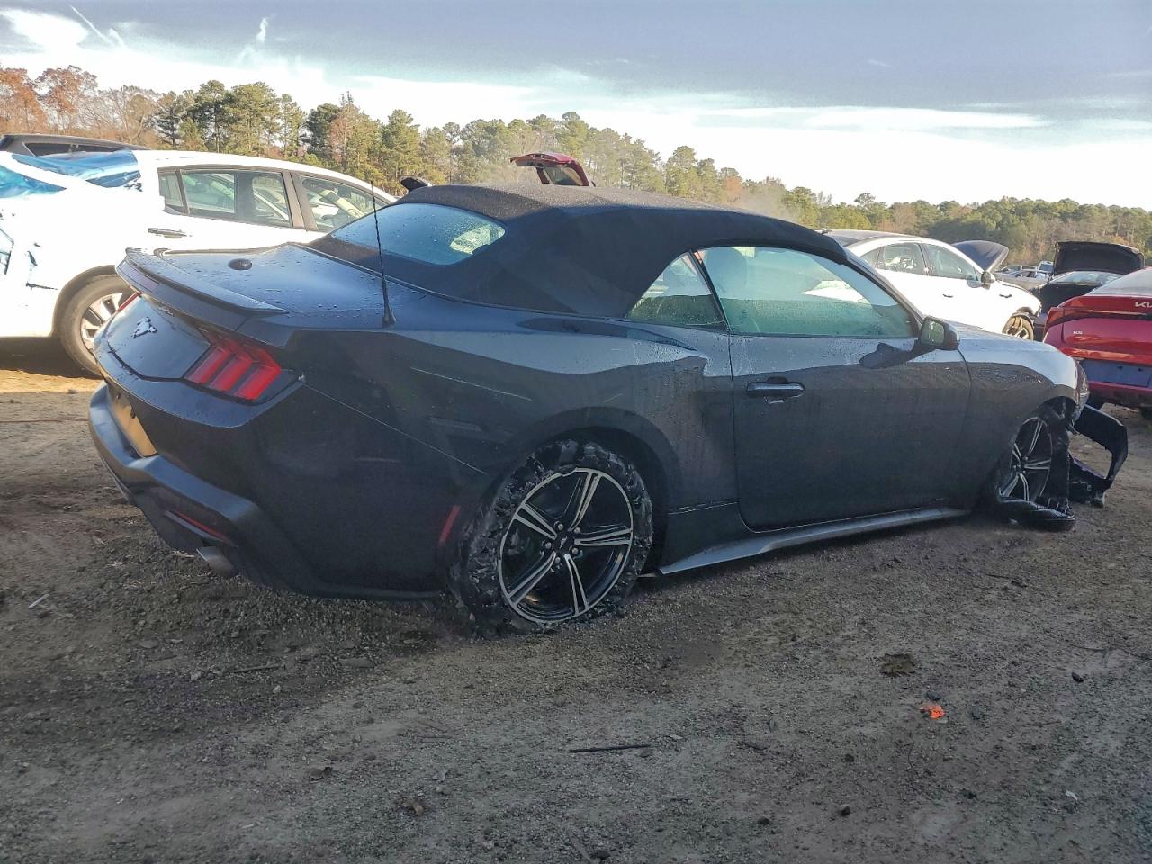 Lot #3303658932 2025 FORD MUSTANG