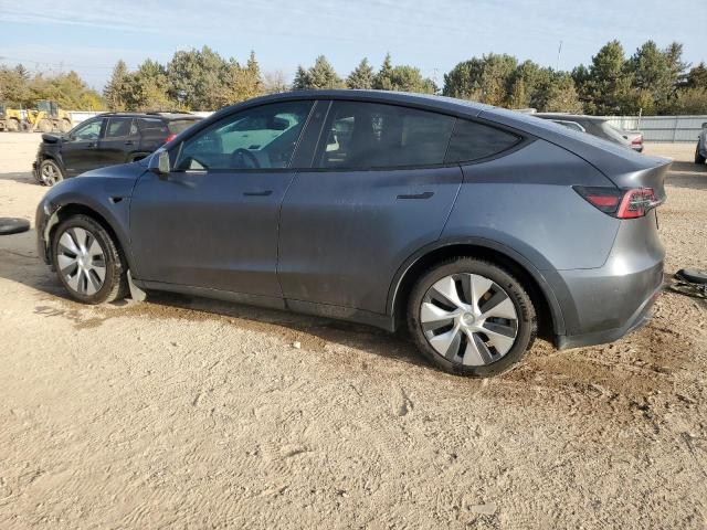 2021 TESLA MODEL Y #3291339145