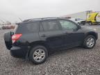 Lot #3292398272 2011 TOYOTA RAV4