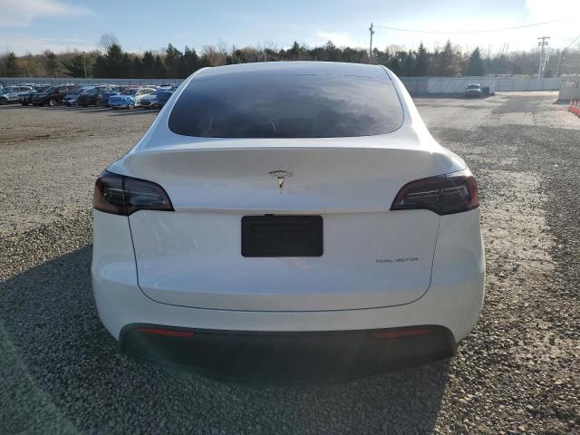 2025 TESLA MODEL Y #3302759387