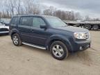 Lot #3304607453 2009 HONDA PILOT EXL