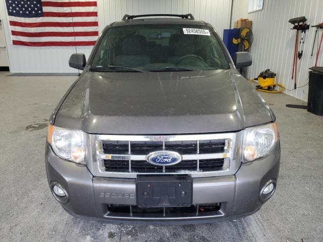2011 FORD ESCAPE XLT - 1FMCU9DG1BKA97368