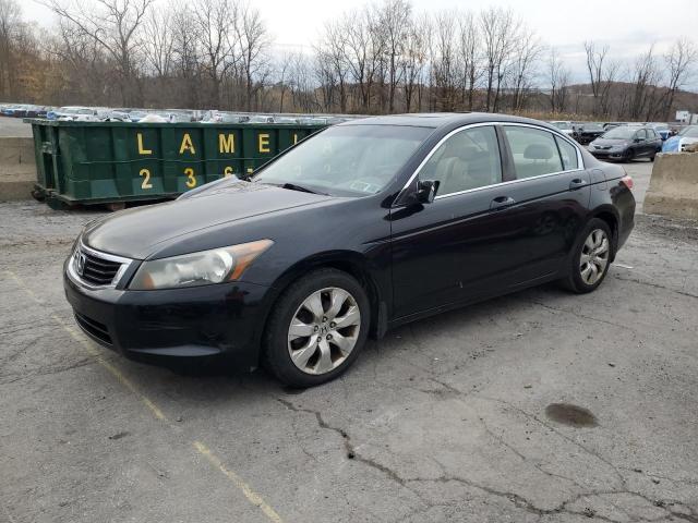 Global Auto Auctions: 2009 HONDA ACCORD EXL