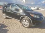 Lot #3310359004 2014 HONDA CR-V EX