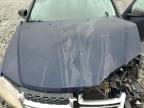 Lot #3297970808 2013 DODGE AVENGER SE