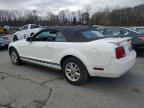 Lot #3292300277 2008 FORD MUSTANG