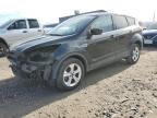 Lot #3292416562 2014 FORD ESCAPE SE