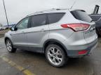 Lot #3305331331 2014 FORD ESCAPE TIT
