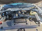 Lot #3308420294 2009 FORD EXPEDITION