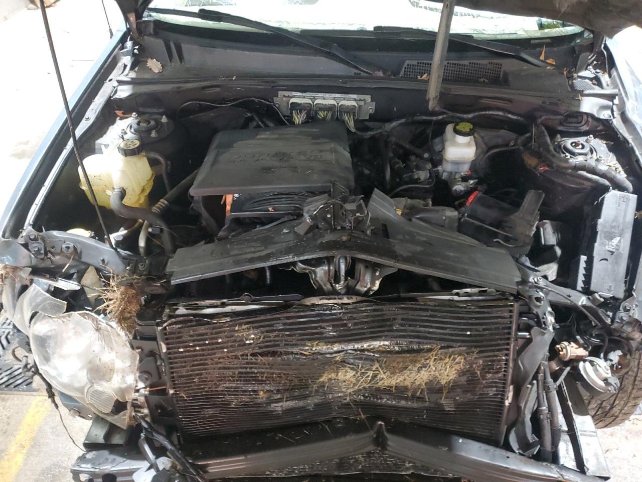 Lot #3309264619 2010 FORD ESCAPE LIM