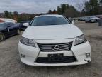 Lot #3315727345 2013 LEXUS ES 350
