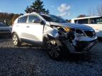 Lot #3315585791 2013 KIA SPORTAGE E