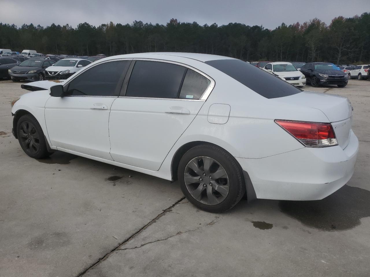 Lot #3291194984 2008 HONDA ACCORD EX