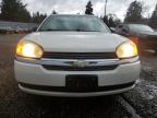 Lot #3308248164 2004 CHEVROLET MALIBU MAX