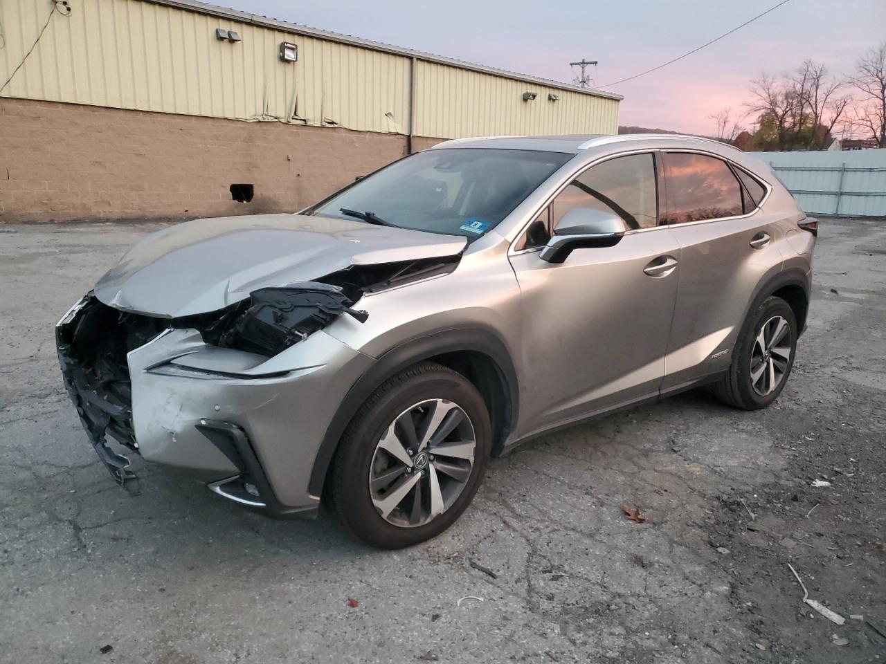 LEXUS NX 300H