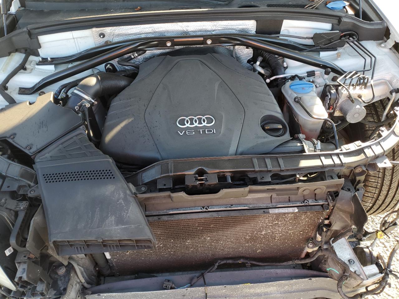 AUDI Q5 TDI PREMIUM PLUS