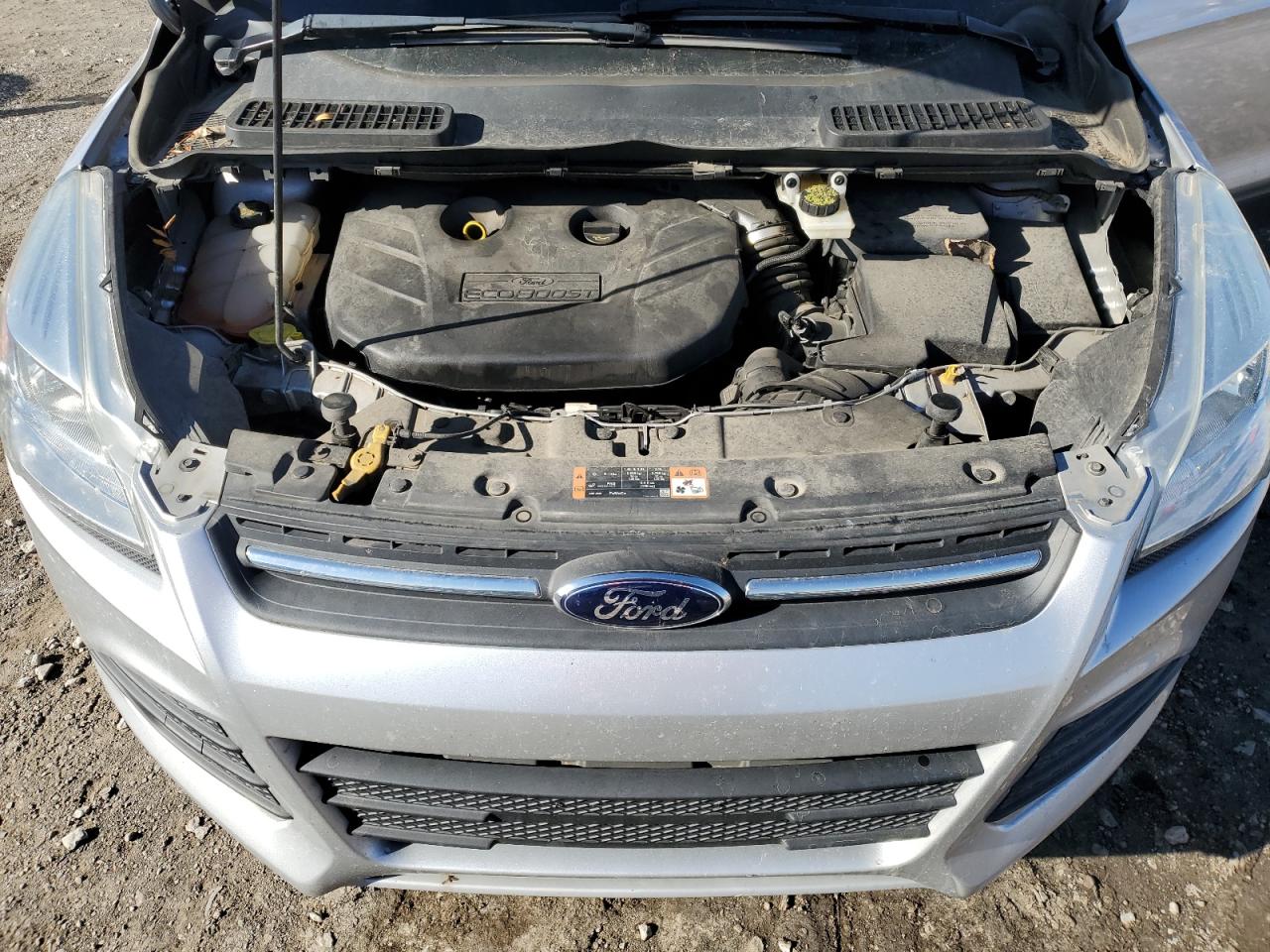 Lot #3311623284 2014 FORD ESCAPE SE