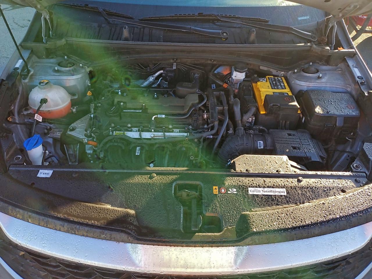 Lot #3312296769 2023 KIA SPORTAGE L