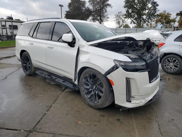 2023 CADILLAC ESCALADE S #3294084976