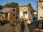 Lot #3303569927 2017 PETERBILT 579