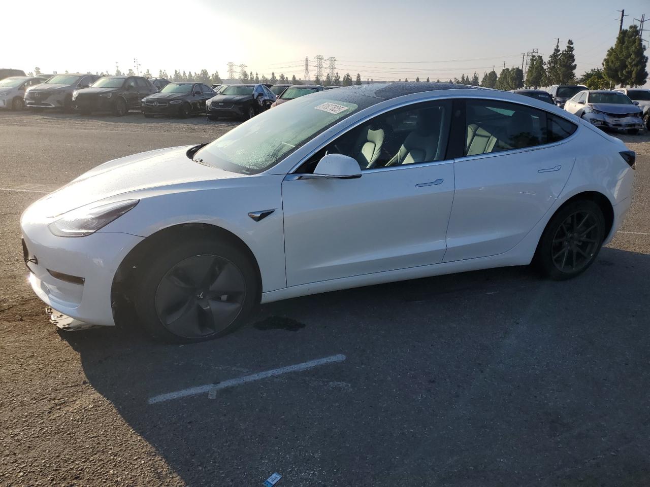 Lot #3302700025 2019 TESLA MODEL 3