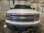 Lot #3310339975 2014 CHEVROLET SILVERADO