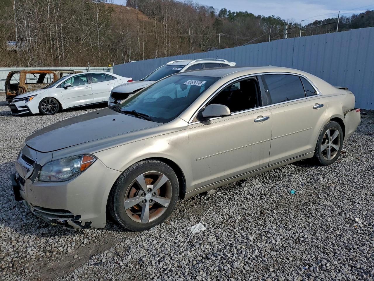 CHEVROLET MALIBU 1LT