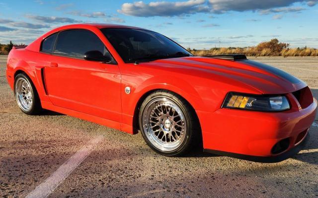 Global Auto Auctions: 2004 FORD MUSTANG MA