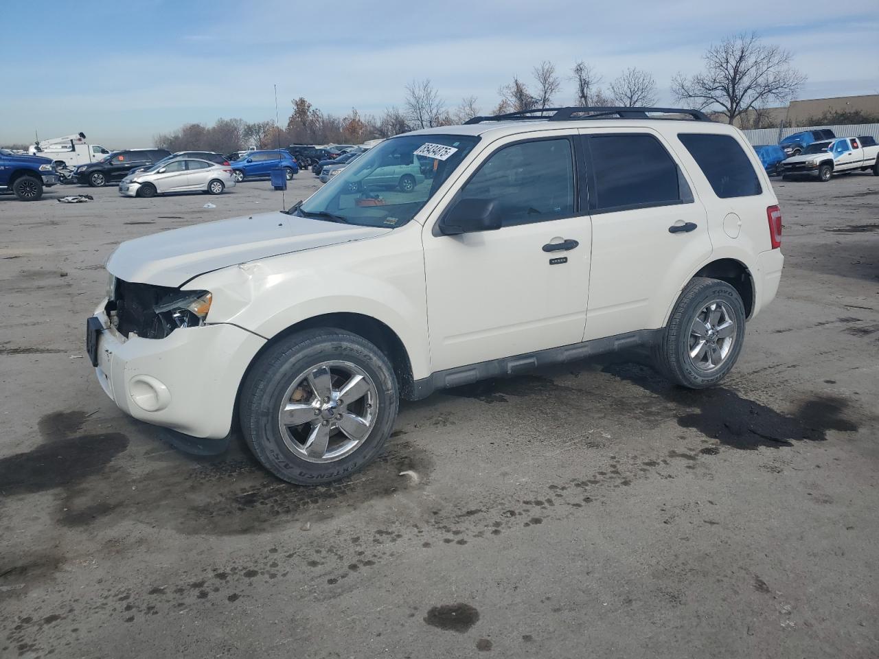 Lot #3298021142 2009 FORD ESCAPE XLT
