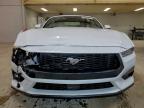 Lot #3312681171 2024 FORD MUSTANG