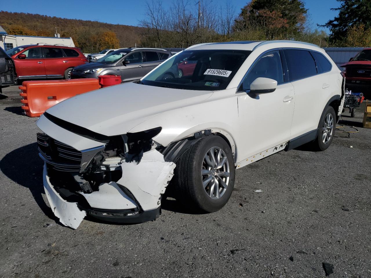 Lot #3290239263 2018 MAZDA CX-9 TOURI