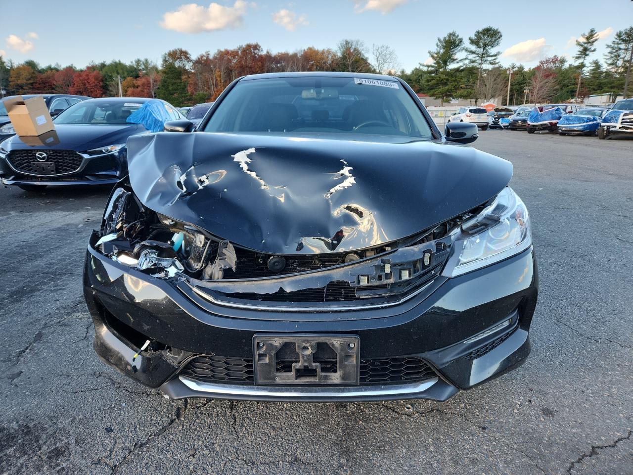 Lot #3312538609 2016 HONDA ACCORD EXL