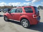 Lot #3296086837 2009 FORD ESCAPE XLT