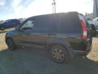 Lot #3303800450 2006 HONDA CR-V SE