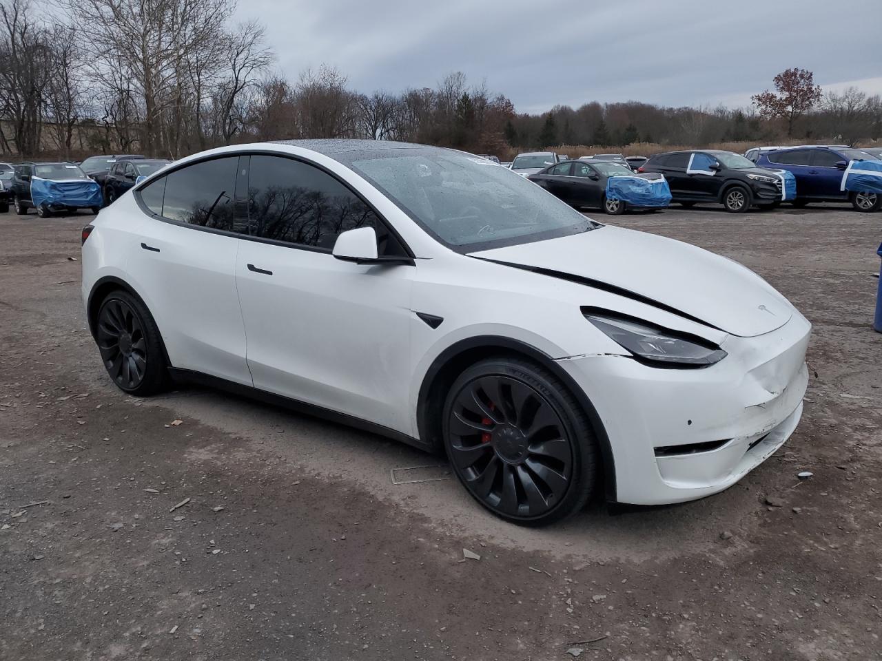 TESLA MODEL Y