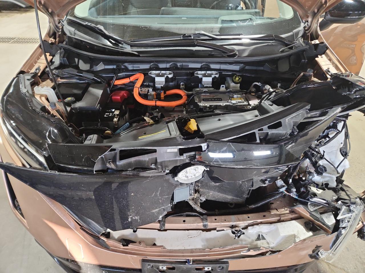 NISSAN ARIYA PLATINUM +