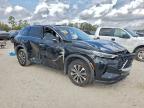 Lot #3301593629 2024 INFINITI QX60 PURE