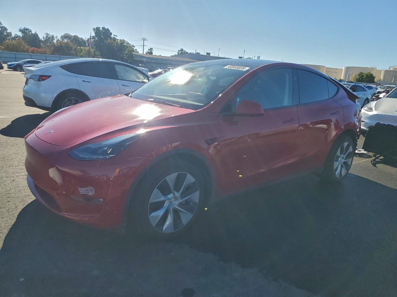 Lot #3309711855 2023 TESLA MODEL Y