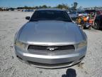 Lot #3310325973 2012 FORD MUSTANG