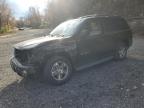 Lot #3311462235 2004 CHEVROLET TRAILBLAZE
