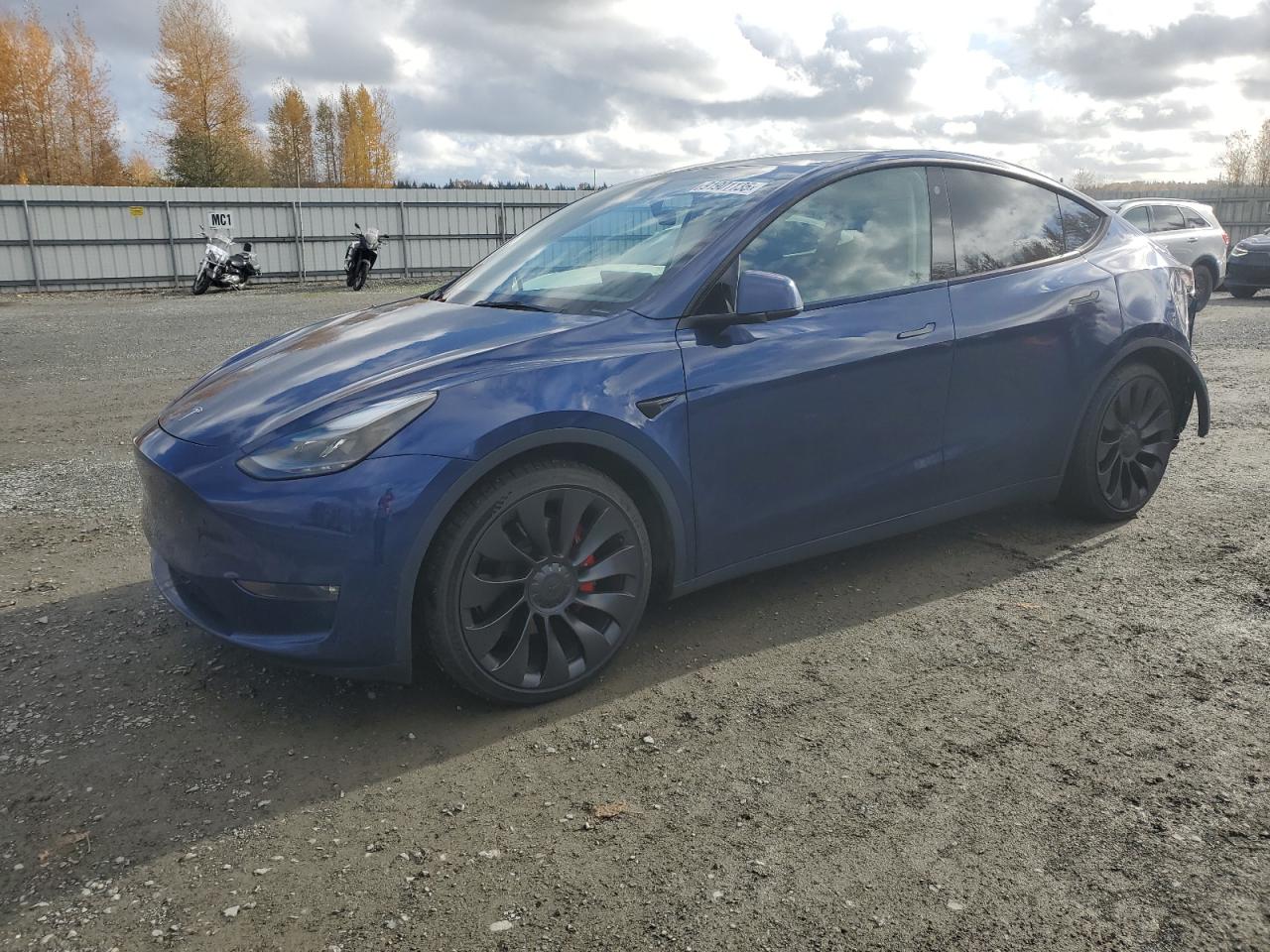 TESLA MODEL Y
