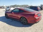 Lot #3297962854 2019 FORD MUSTANG GT