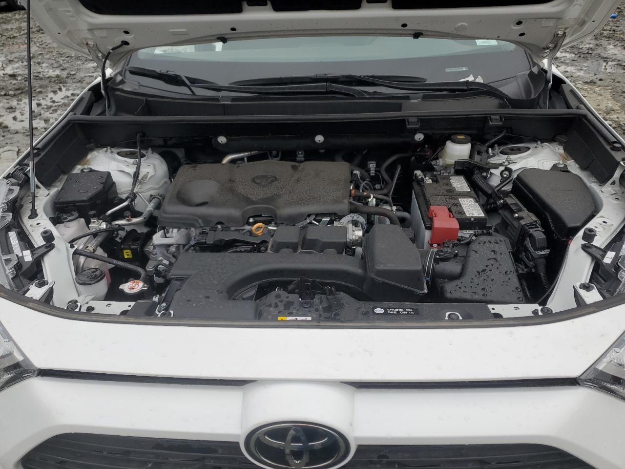 Lot #3311700240 2025 TOYOTA RAV4 XLE