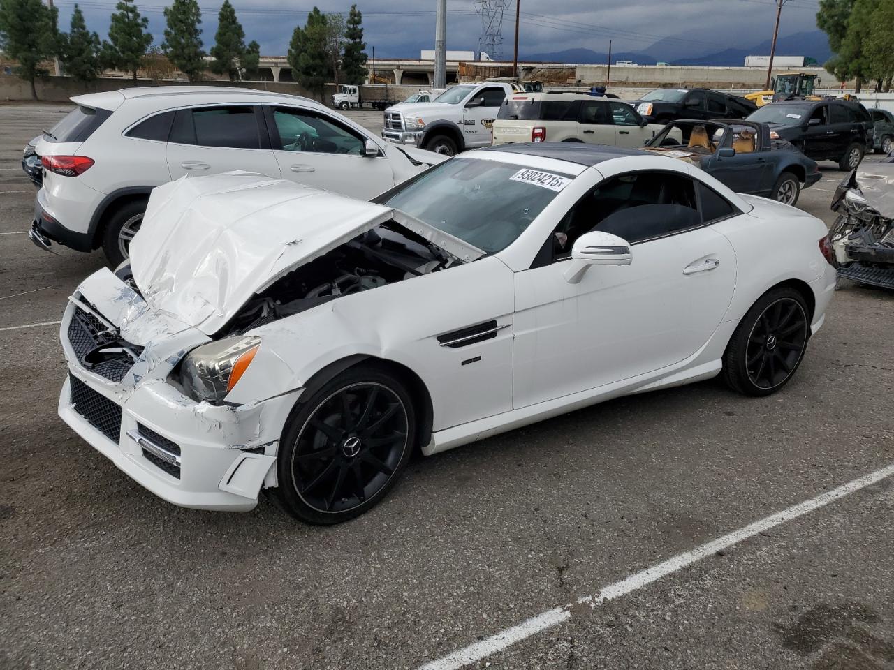 Lot #3304889546 2014 MERCEDES-BENZ SLK 250