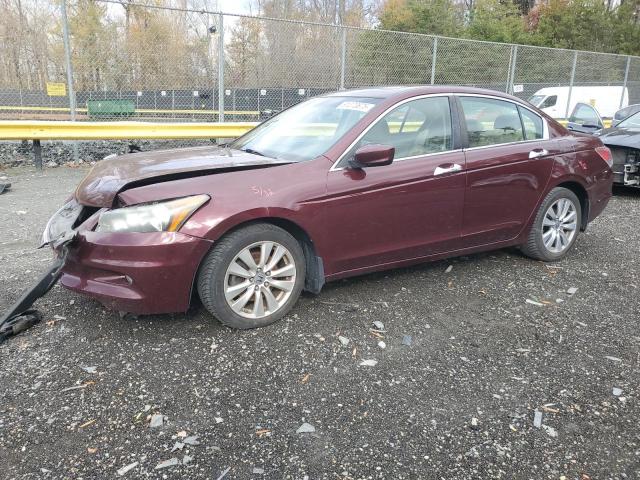 Global Auto Auctions: 2011 HONDA ACCORD EXL